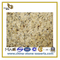 Natural Polished New Venetian Gold Granite Slab for Countertop & VanityTop(YQC)