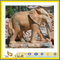 Granite Garden Elephant Statue & Granite Sculpture(YQC)