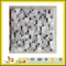 Honed Gray Square Stone Mosaic Tile for Outdoor Wall(YQG-GT1191)