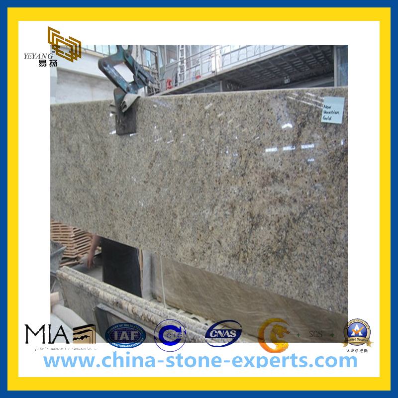 Natural Yellow Granite Stone Slab for Paving or Wall (YQA-GS1006)