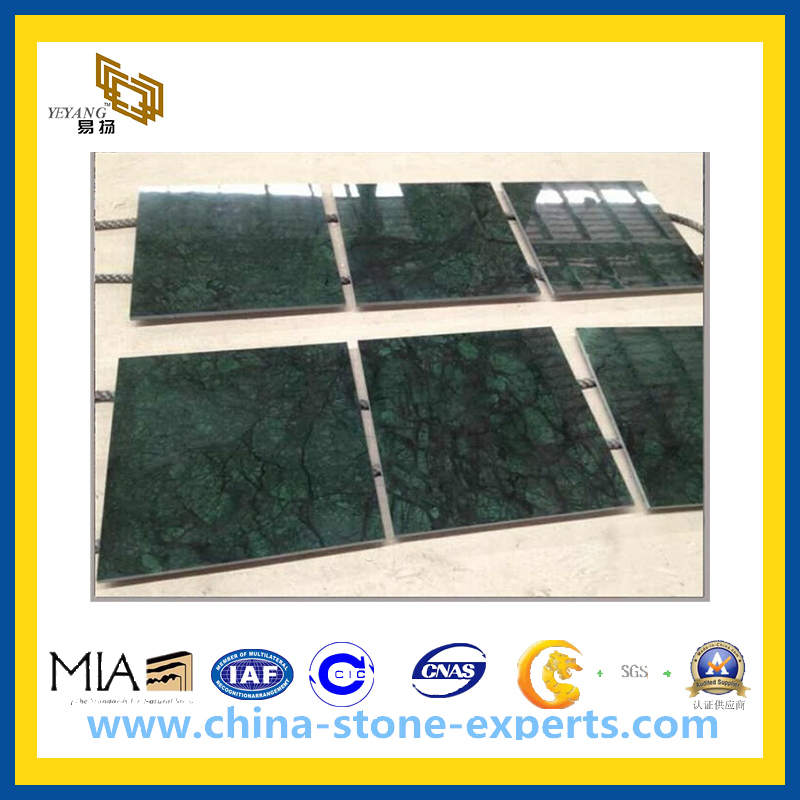Polished Dark Green Marble Tiles for Floor and Wall(YQC)