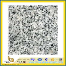G603 Polished White Granite for Floor Tile(YQG-GT1176)