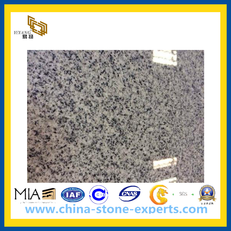 Cheapest China New G603 Grey Granite Slabs ( YQZ-GS)