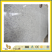 Polished Natural Stone Grey G439 Granite Slab for Wall/Floor (YQC)