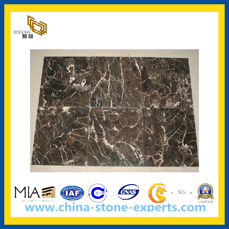 Polished Emperador Dark Marble Tile for Floor and Wall (YQC)