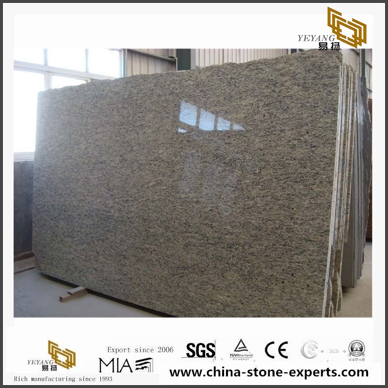 Cheap Santa Cecilia Granite slabs for Countertop, Tile