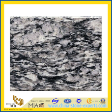 Ocean White Granite Wall Tile for Home(YQG-GT1147)