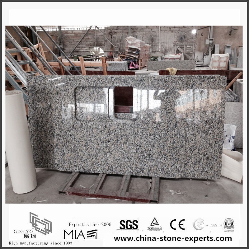 Choose Bianco Taupe Granite Countertop for Kitchen/Bathroom (YQW-GC0524021)