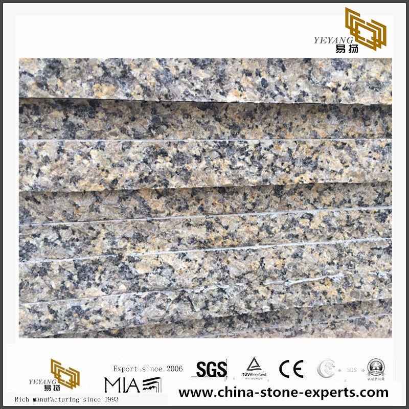 China Natural Giallo Fiorito Granite Countertops & Vanity Tops