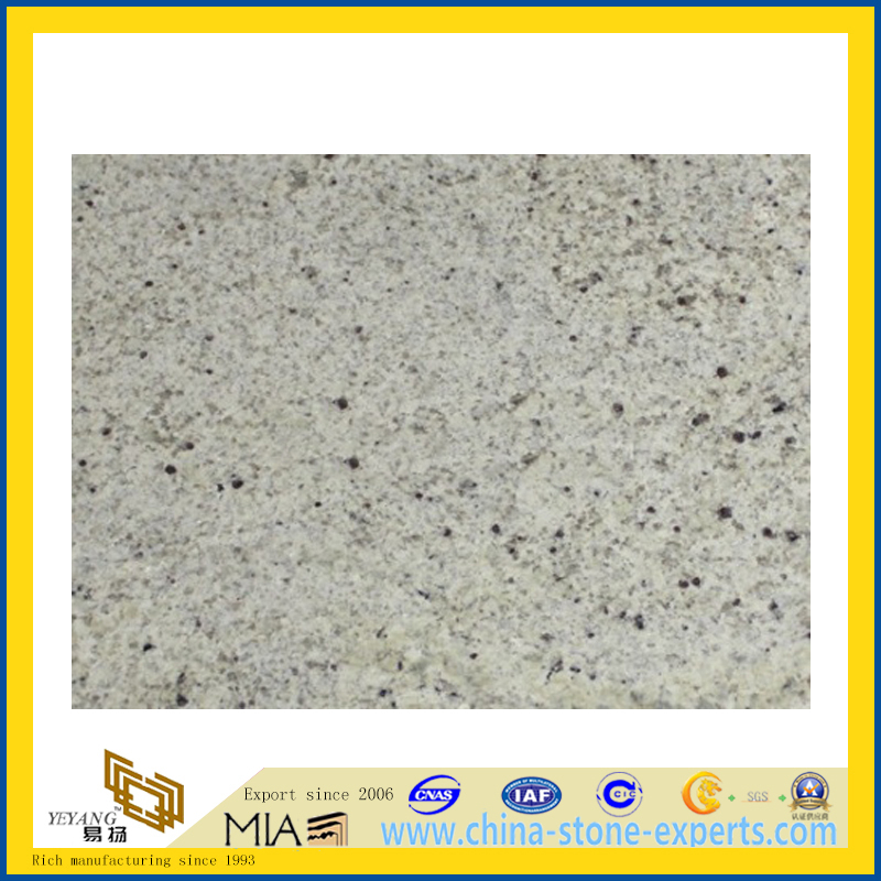 Kashmir White Granite Tiles for Flooring and Countertop(YQG-GT1124)