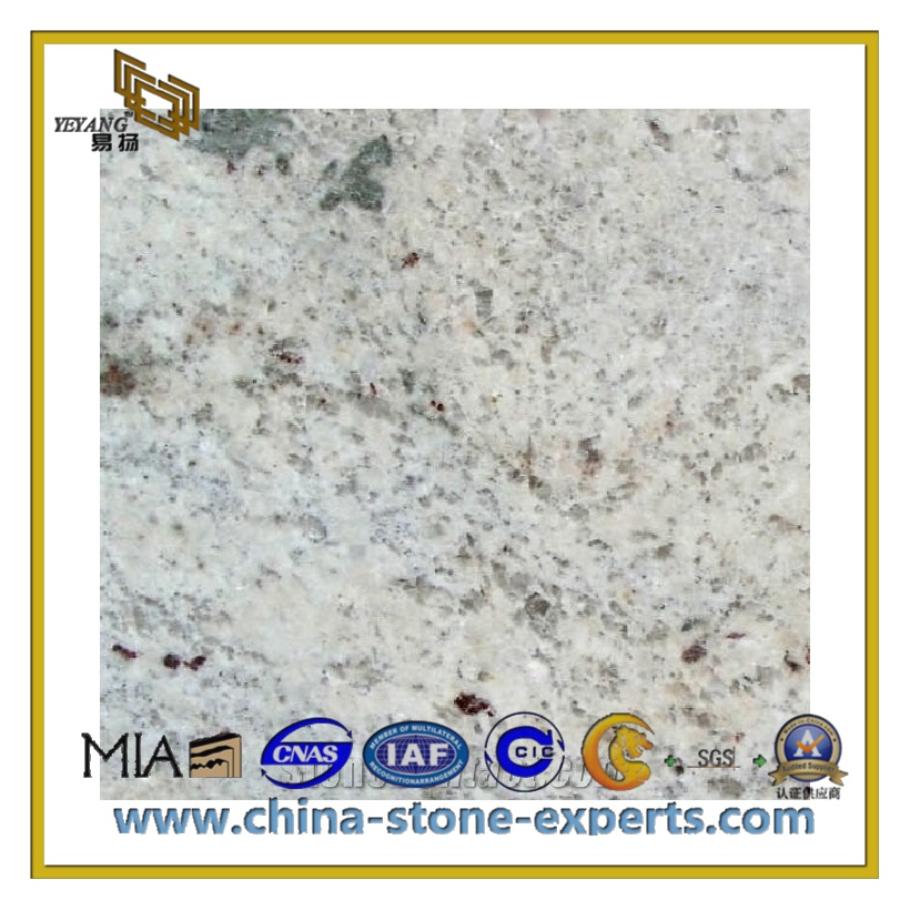 Ivory White Granite Countertop for Kitchen or Bathroom(YQC-GC1005)