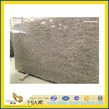 Polished Stone Santa Cecilia Granite Slab for Countertop/Vanitytop (YQC)