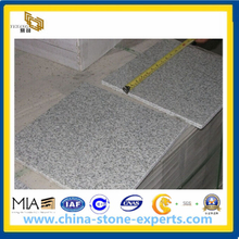 G365 Granite Tile (YQA-GT1021)