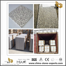 Cheapest Price Chinese Tiger Skin White Granite Slabs & Tiles for countertops