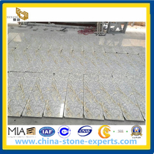 Polished Yellow Granite Tiles for Floor, Wall, Projects (YYAZ)