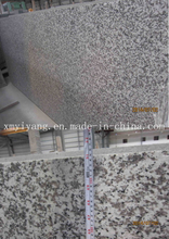 China Bala White/Bianco Taupe/G439/Pauline Grey Granite Slabs (YY-VPLG)