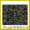 Green Granite Tiles / Slabs for Flooring and Countertop(YQG-GT1112)