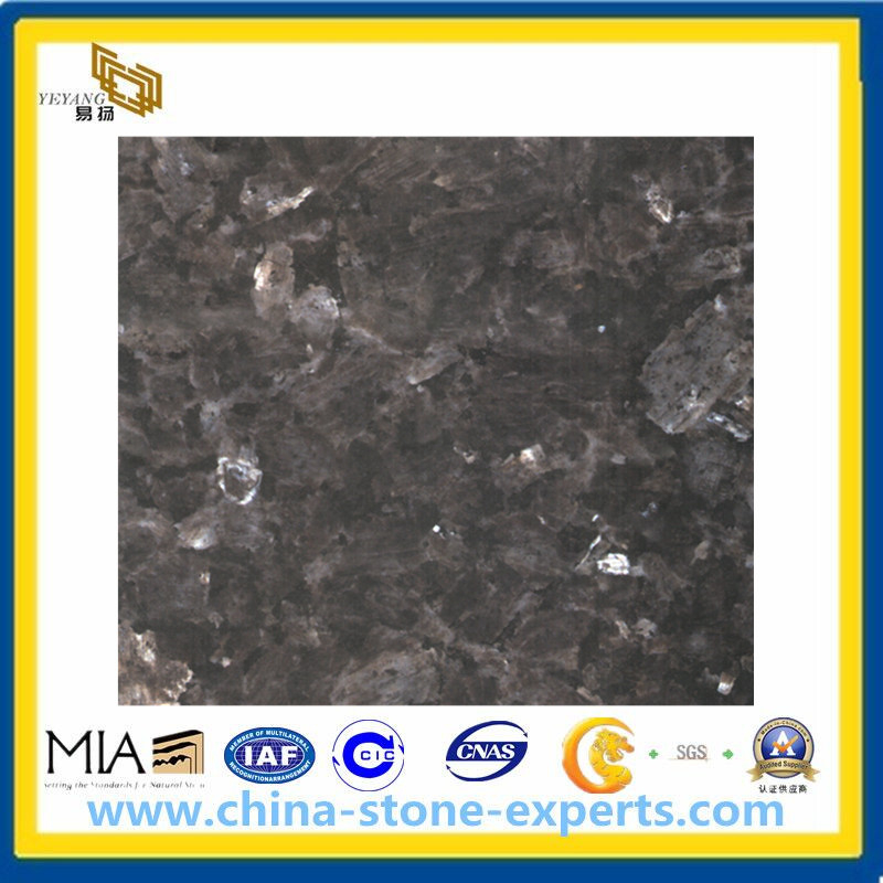 Natural Stone Blue Pearl Granite Tiles for Flooring Steps/Stairs (YQG-GT1014)