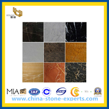 Polished Black & White Marble Stone Tile for Floor, Wall(YQC)