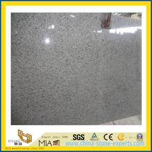 Natural Stone Polished Grey G439 Granite Countertop for Kitchen/Bathromm (YQC)