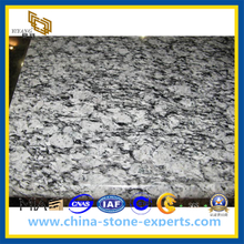 Spray White Spoondrift Granite Slab (YQZ-GS1028)
