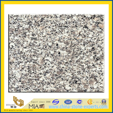 G341 Grey Granite Tiles for Flooring and Wall(YQG-GT1076)