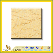 Silvia Marble Slabs for Wall and Flooring(YQC)