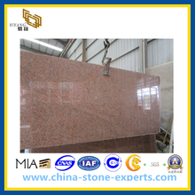 China G562 Maple Red Granite Slab for Stairs (YQG-GS1022)