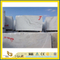 China Polished Castro White Marble for Steps & Stairs (YQW)