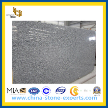 Ocean Spray White Oyster Granite Slab for Countertop (YQZ-GS)
