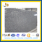 Ocean Spray White Oyster Granite Slab for Countertop (YQZ-GS)