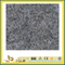 Polished Classic Grey Granite Countertop for Bathroom/Kitchen