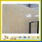 Sunny Beige Marble Slabs for Wall & Flooring Tile, Countertop (YQZ-MS)