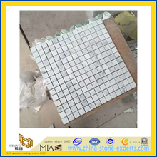 Natural Marble Mosaic Stone Tile for Bathroom or Swimming Pool (YQZ-M)