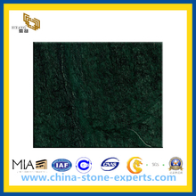 Discount Natural Polished India Green Marble Stone Tile for Floor(YQC)