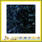 Natural Polished Galactic Blue Granite Tile for Wall/Flooring (YQC)