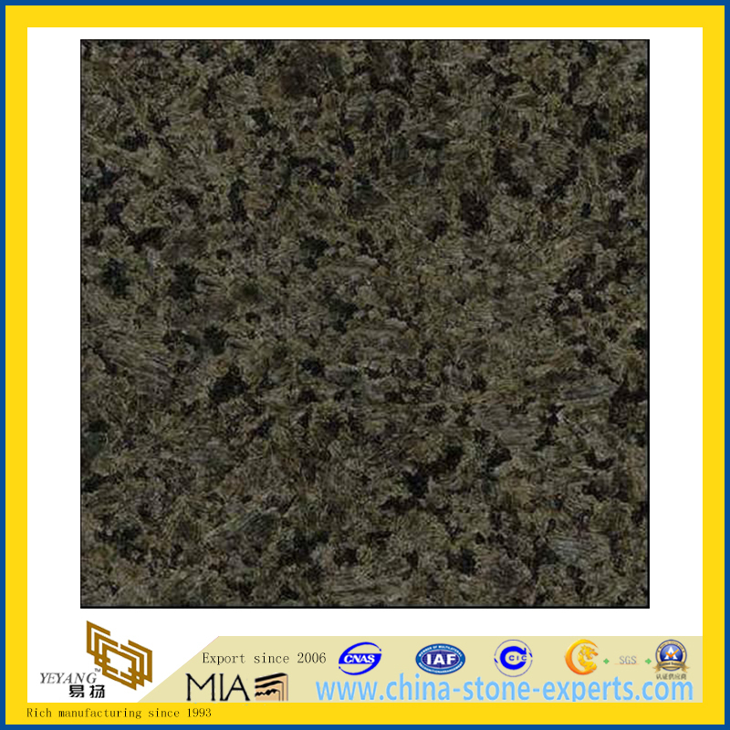Polished Chengde Green Granite for Countertops / Vanity Top (YQZ-G1003)