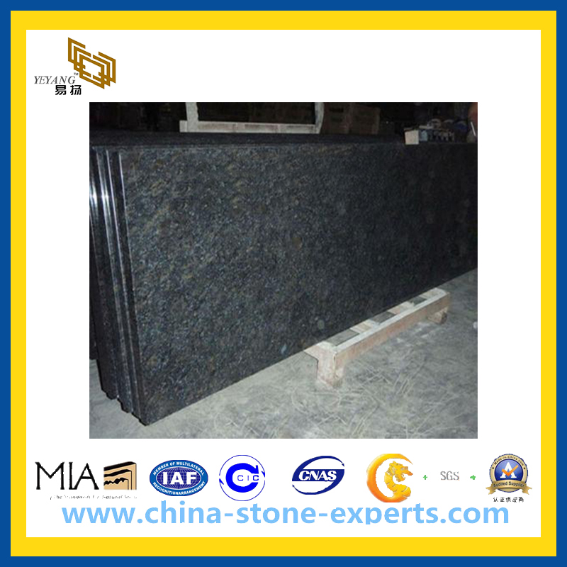 China Butterfly Blue Granite Kitchen Countertop (YQA-GC)