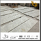 Top Andromeda White Granite Countertops for Bathroom Decor (YQW-GC0714015)