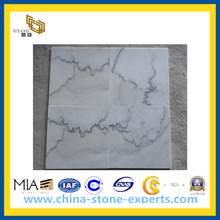 Polished Guangxi White Marble for Slabs, Tile, Countertop(YQC)