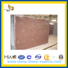 China G562 Mapel Red Granite Tile, Countertop, Slab (YQC)