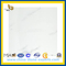 Italian White Carrara Marble for Tile, Countertop, Slab(YQC)