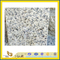 Natural Polished Tiger Skin Yellow Granite Tile for Wall/Flooring (YQC)