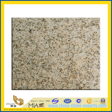 China Giallo Gold Granite Tiles / Slabs(YQG-GT1057)