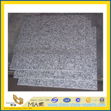Light Grey Granite for Flooring Tiles (G603/ G602/G640)(YQG-GT1127)