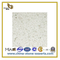 Hot Sell White Color Quartz for Countertop/Kitcken (YQC)