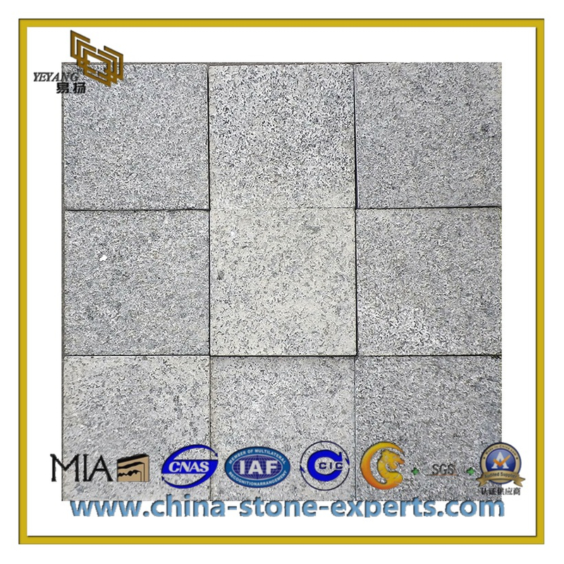 Cheap Grey Granite Paving Stone (YQC-P1003)