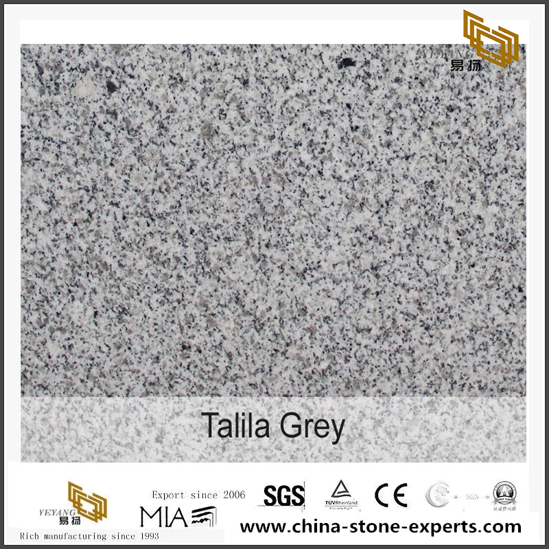 Grey Granite G603 Talila Granite Slabs For Sale