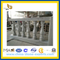 White Marble Handrails for Terrace(YQG-PV1076)