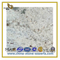 Natural Polished Pure White Granite Slab for Countertop & VanityTop(YQC)